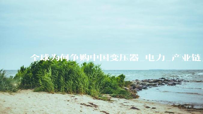 全球为何争购中国变压器_电力_产业链_需求